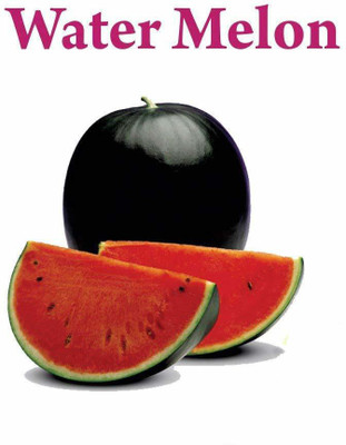 Biosnyg Farm Hybrid Watermelon Seeds 5gm Seeds Seed(5 g)