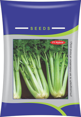 Biosnyg Celery Imported Exotic Seeds Kitchen Gardens Packet 250 Seeds Seed(250 per packet)