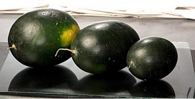 Biosnyg Sharbati-46 F1 Hybrid Water Melon Seeds 50 Seeds Seed(50 per packet)