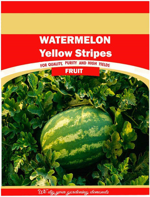 WILLVINE Citrullus Lanatus Seeds - Watermelon Striped Oval Seed(100 per packet)