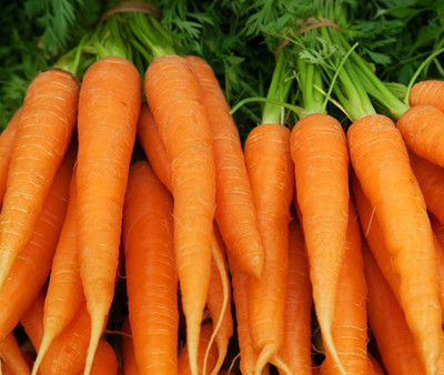 SimXotic Carrot Orange Vegetable Quality Seeds - 200 Seeds Seed(200 per packet)