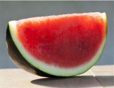 WILLVINE Crimson Watermelon Seeds Sweet Seedless Seed(50 per packet)