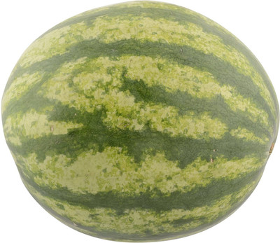 WILLVINE Worlds Best Quality Hybrid Watermelon Seeds Seed(100 per packet)