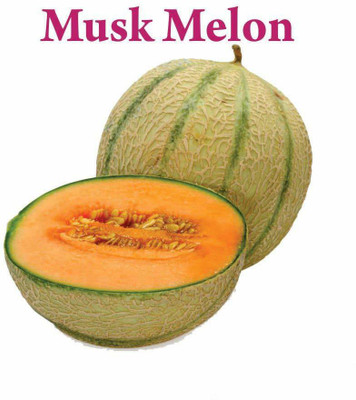 ActrovaX Muskmelon Seed(500 per packet)