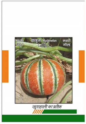 WILLVINE Muskmelon Seed(100 per packet)