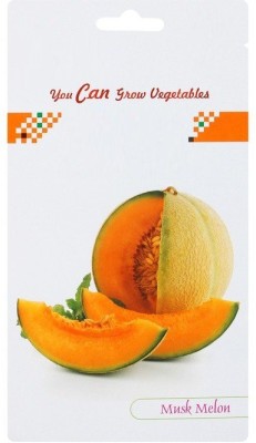 Biosnyg Musk Melon Golden (Orange Flesh) Seeds 5gm Seeds Seed(5 g)