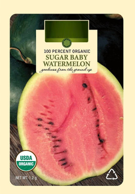 WILLVINE Watermelon Seed(50 per packet)