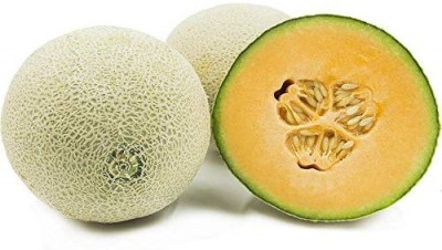 Biosnyg Muskmelon/Yellow Melon Seeds - Yellow Melon 50gm Seeds Seed(50 g)