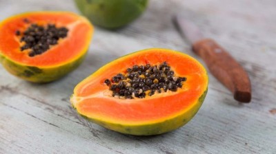 ActrovaX ORGANIC HAWAIIAN PAPAYA FRUIT ~ GROW HAWAII PAPAYA FRUIT [2gm Seeds] Seed(2 g)