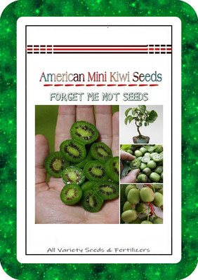 WILLVINE ™American Mini Kiwi Seeds Hybrid Variety High Quality Selected Seed(100 per packet)