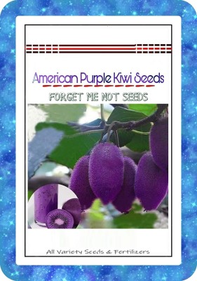 ActrovaX American Purple Kiwi Hybrid Variety High Quality Selected [200 Seeds] Seed(200 per packet)