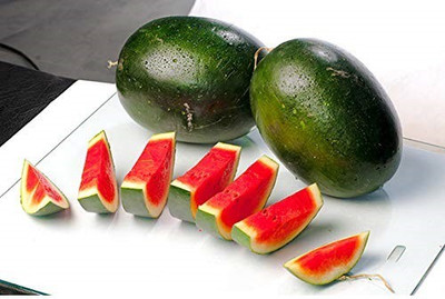 WILLVINE Water Melon Seeds Seed(100 per packet)