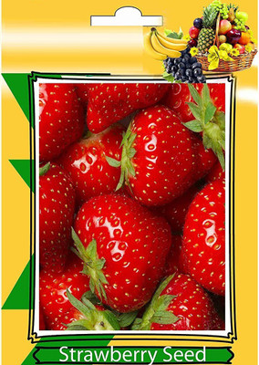 ActrovaX Garden Strawberry Fruit [100 Seeds] Seed(100 per packet)