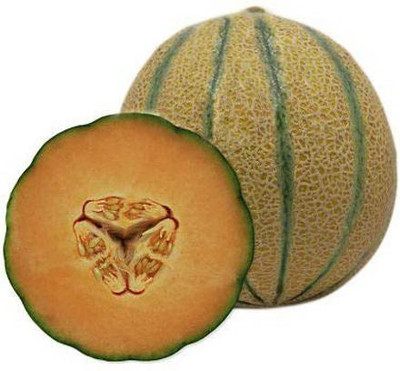 WILLVINE ™Hybrid VegetableMuskmelon Seeds Seed(200 per packet)