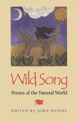 Wild Song(English, Paperback, unknown)