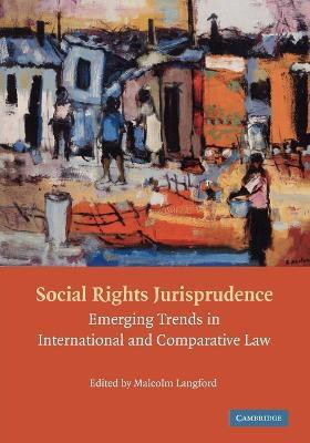 Social Rights Jurisprudence(English, Paperback, unknown)