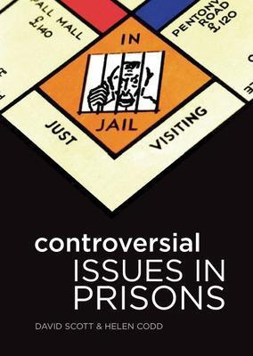 Controversial Issues in Prisons(English, Paperback, Scott David)