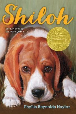 Shiloh(English, Paperback, Naylor Phyllis Reynolds)