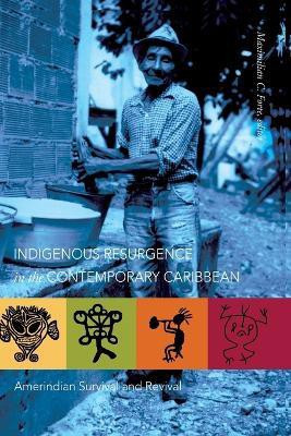 Indigenous Resurgence in the Contemporary Caribbean(English, Paperback, unknown)