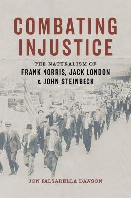 Combating Injustice(English, Hardcover, Dawson Jon Falsarella)