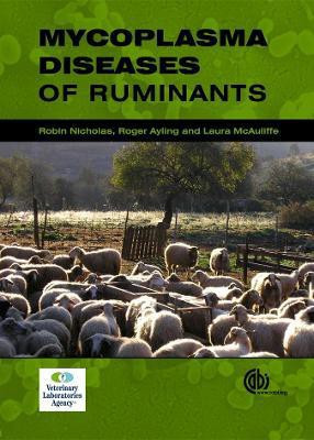 Mycoplasma Diseases of Ruminants(English, Electronic book text, unknown)