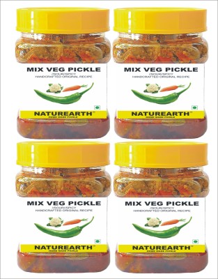 NaturEarth Mix Veg Pickle Combo (4x200G) Maa Ke Hath Ka Mother Made Homemade Achar Mixed Vegetable Pickle(4 x 200 g)