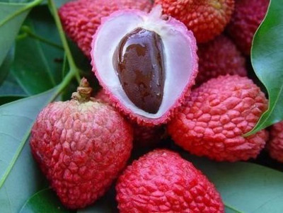 MKR Enterprises Lychee Seed(15 per packet)
