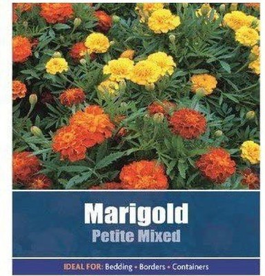 CRGO ® HAU-200 African Marigold Flower KS Spl Mix GMO-Free Seeds Seed(95 per packet)