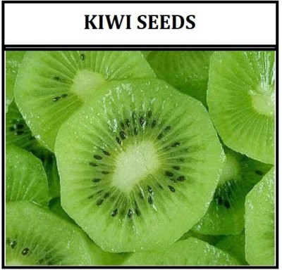 ActrovaX Kiwifruit / Hardy Kiwi / Tara Vine / Yang Tao /Chinese Strawberry[1gm Seeds] Seed(1 g)