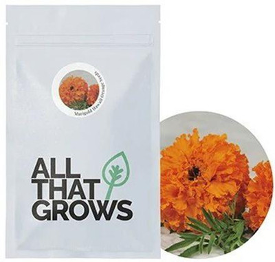 VibeX Marigold Seed(25 per packet)