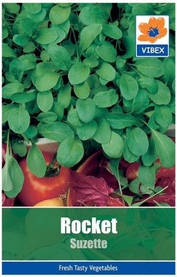 WILLVINE ™Rocket Rucola Arugula Wild Type (Imported) Exotic Seeds Seed(1000 per packet)