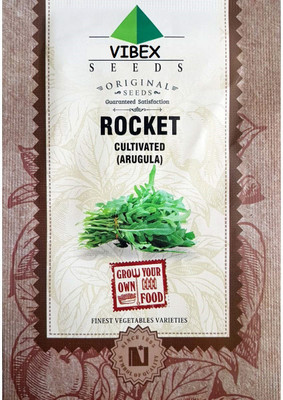 WILLVINE ™Green Rocket Arugula Cultivated Leaves Seed(1000 per packet)