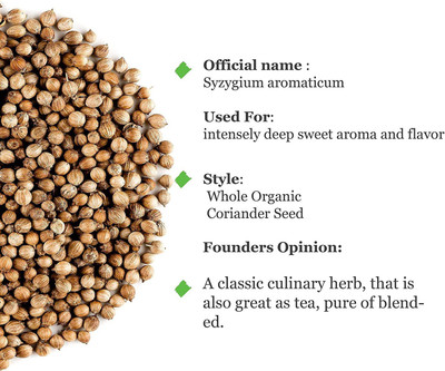 WILLVINE Cilantro Seed(500 per packet)