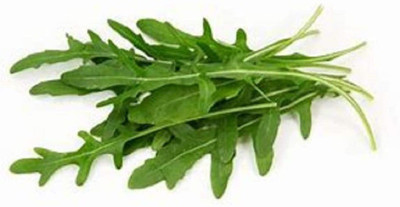 WILLVINE ™Arugula - Microgreens Seeds Seed(1000 per packet)