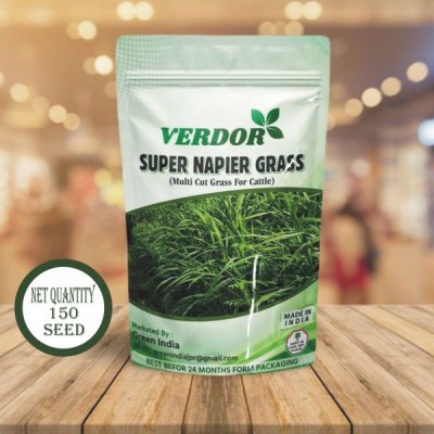 VERDOR SUPER NAPIER GRASS SEED HIGH YIELD (150 SEEDS) Seed(150 per packet)