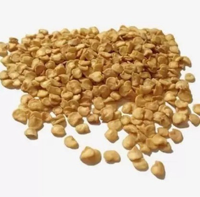 MAA Green Chilli, Chilli Pepper, Mirchi Seed(170 per packet)
