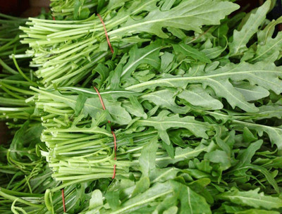 WILLVINE Rocket Suzette Seeds Seed(500 per packet)