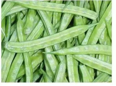 Aro Guar, Cluster Beans/Guar, gavar Seed(136 per packet)