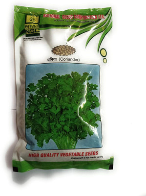 WILLVINE Slow Bolt Cilantro Herb Garden Seeds Seed(1000 per packet)