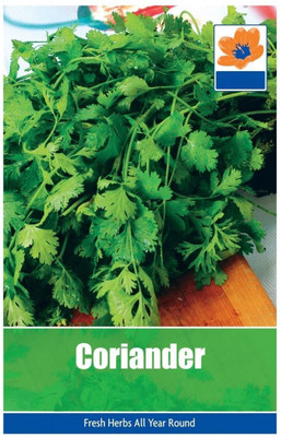 WILLVINE Chinese Parsley (Cp) Seeds Seed(2500 per packet)