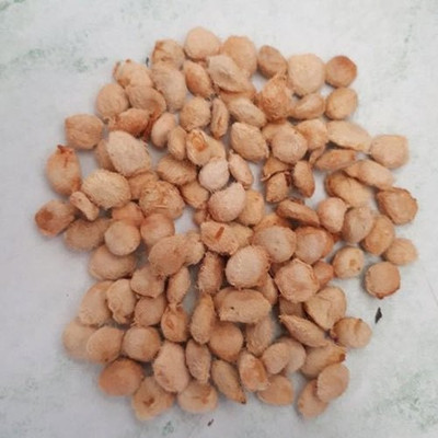 Ravel Golden Apple/ Indian Bael tree/ Bel Tree/ Temple tree/ Aegle marmelos Seed_ 20gm Seed(20 g)