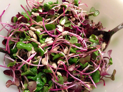WILLVINE Arugula Microgreen Seeds for Sprouting Sprouts Seed(500 per packet)