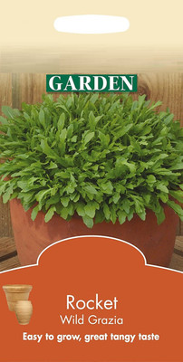 WILLVINE ™Rocket Arugula Herb Seeds Seed(1000 per packet)