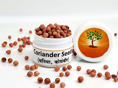 WILLVINE Improved Coriander Seeds (Yellow) Seed(2500 per packet)