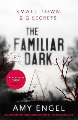 The Familiar Dark(English, Paperback, Engel Amy)