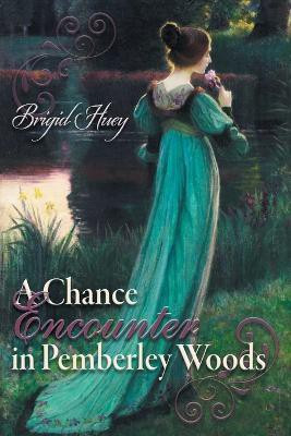 A Chance Encounter inPemberley Woods(English, Paperback, Huey Brigid)