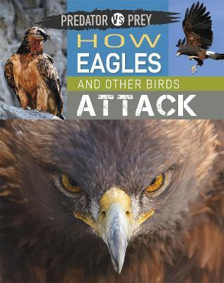 Predator vs Prey: How Eagles and other Birds Attack(English, Paperback, Harris Tim)