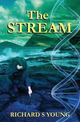 The Stream(English, Paperback, Young Richard S)