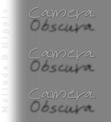 Camera Obscura(English, Paperback, Hipple Melinda B)