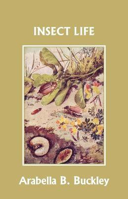 Insect Life (Yesterday's Classics)(English, Paperback, Buckley Arabella B)